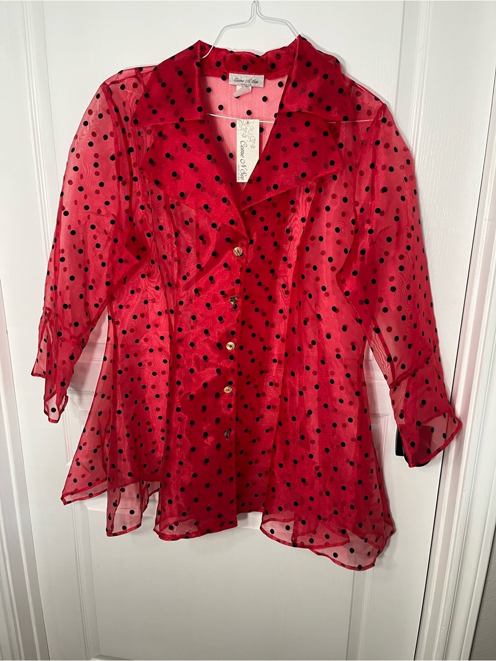 Vintage-Inspired Pink Polka Dot Sheer Button Front Top 2X New by Come n See